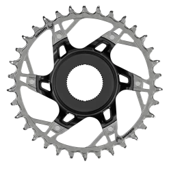 SRAM XX Eagle Transmission Direct Mount E-MTB Chainring For Steps